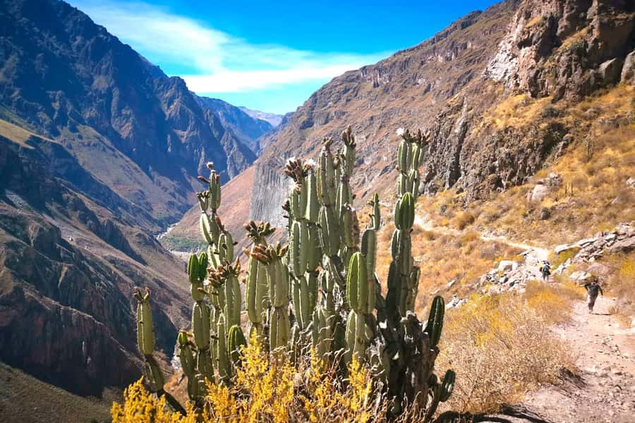 From Arequipa Trek : 2-Days of Hiking in the Colca Canyon - Key things that make this trek worth your time