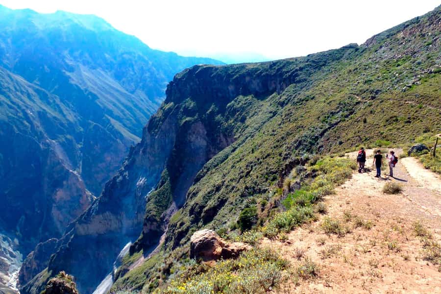 From Arequipa Trek : 2-Days of Hiking in the Colca Canyon - Entering Colca Canyon: what this trek is really like