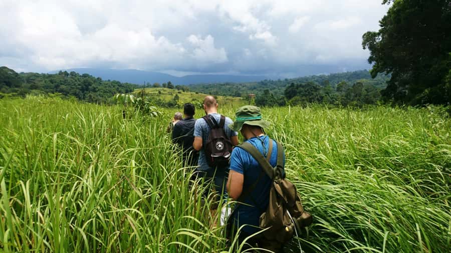 From Bangkok: Khao Yai National Park Jungle Trek with Lunch - From Bangkok to Khao Yai: the early start that sets your day up