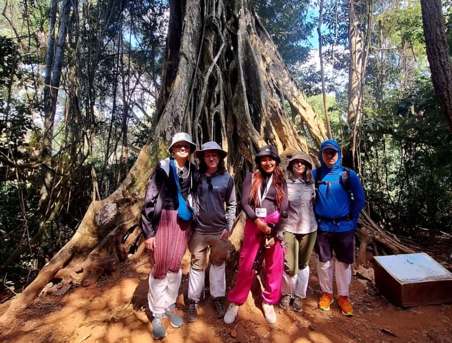 From Bangkok: Khao Yai National Park Jungle Trek with Lunch - Kilometer 30 viewpoint stop: a quick photo break with real payoff