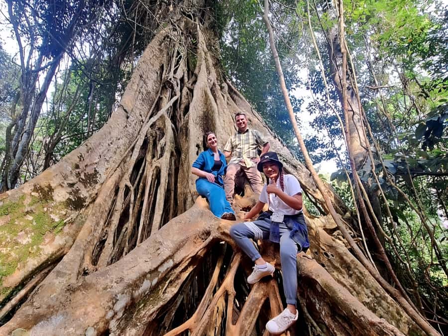 From Bangkok: Khao Yai National Park Jungle Trek with Lunch - Haew Su Wat Waterfall: The Beach energy, with real jungle calm