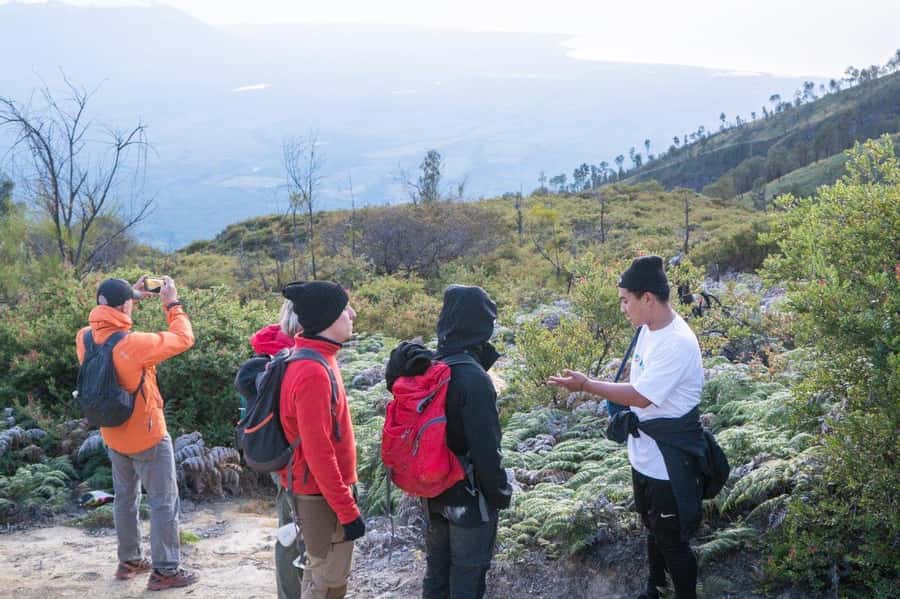 From Banyuwangi: Day Trip to Ijen Volcano with Guided Trek - How an Ijen Day Starts Before Your Alarm Is Even Useful