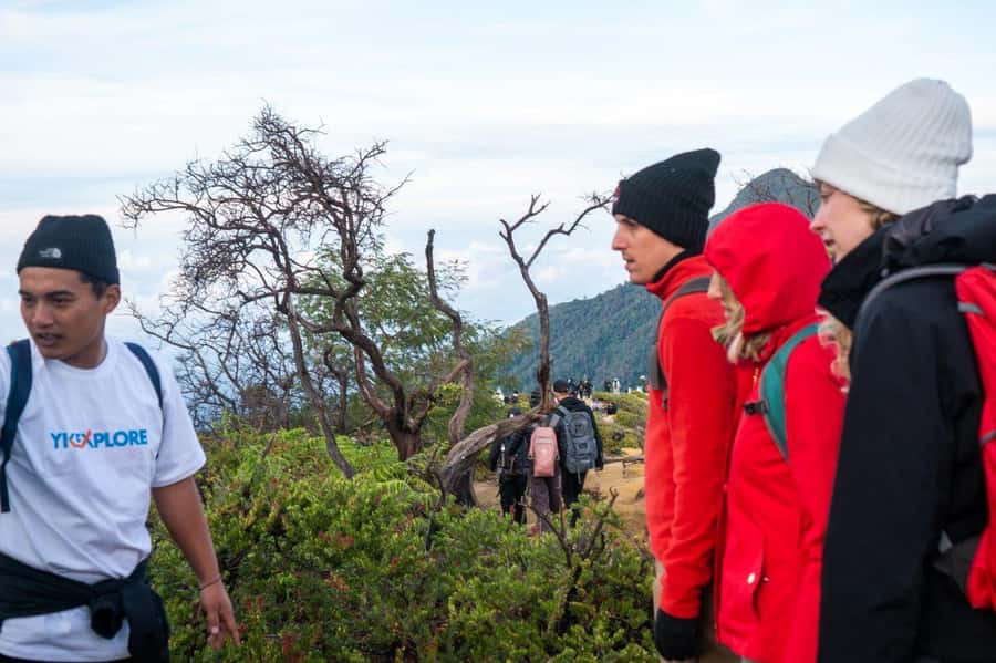 From Banyuwangi: Day Trip to Ijen Volcano with Guided Trek - Who Should Book This Ijen Hike (and Who Should Skip It)