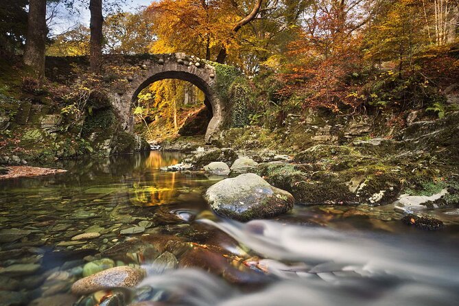 From Belfast: Game of Thrones Winterfell Locations Trek - Tollymore Forest Park: White Walkers, Direwolf Story Beats, and a Proper Trek (3 km)