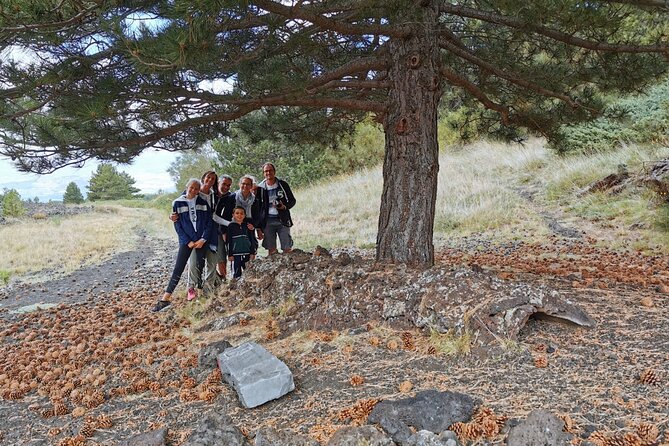 From Catania: Private mt. Etna trekking and pic-nic - Pickup in Catania and return shuttle: logistics that keep you sane