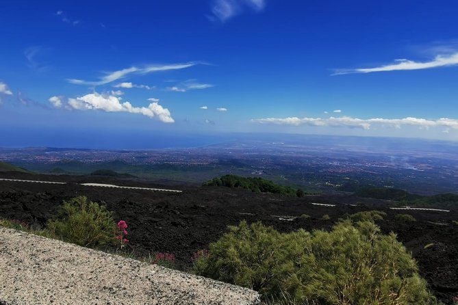 From Catania: Private mt. Etna trekking and pic-nic - What’s included (and what you may want to add)