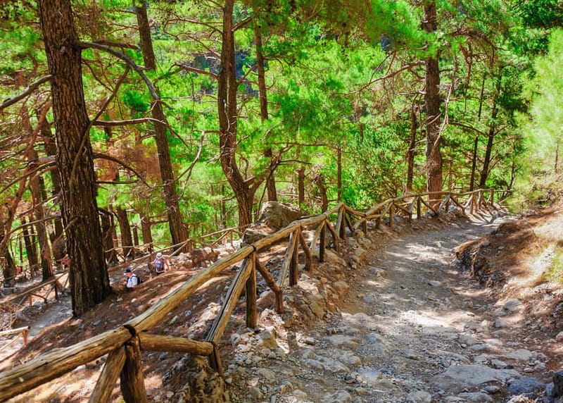 From Chania: Full-Day Samaria Gorge Trek Excursion & Guide - Ferry to Sougia and the late ride back to Chania around 8:30 PM