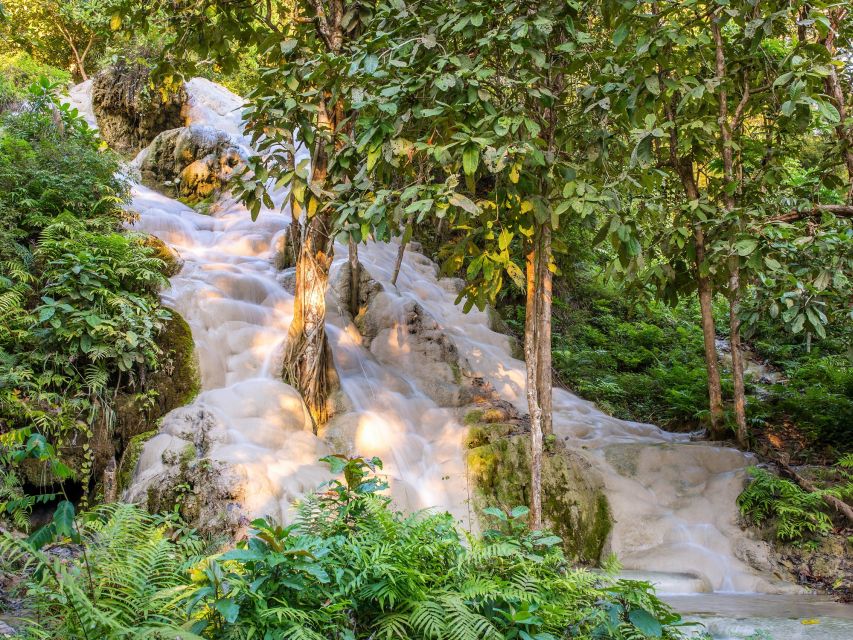 From Chiang Mai: Chiang Dao Cave Trekking Full-Day Tour - Chiang Dao Cave (Wat Tham Chiang Dao): The Underground World You Actually Remember