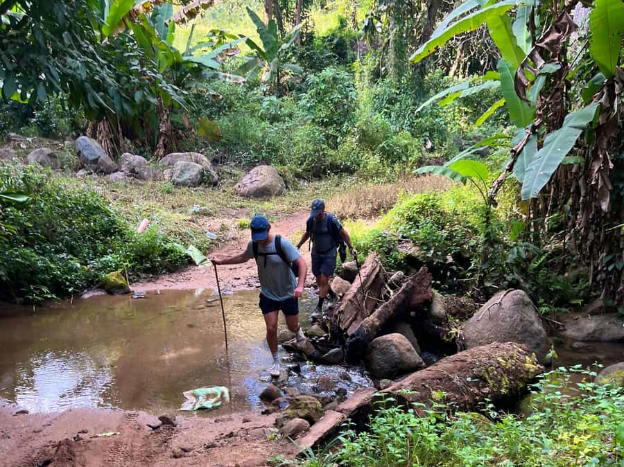 From Chiang Mai: High Mountain Day Trek - Key things I’d bet you’ll care about