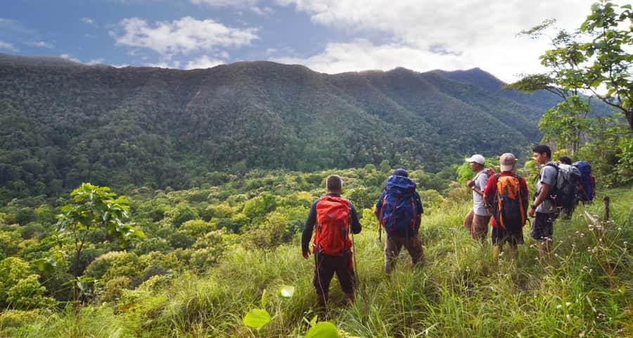 From Chiang Mai: High Mountain Day Trek - From Chiang Mai pickup to trailhead: what your day really feels like