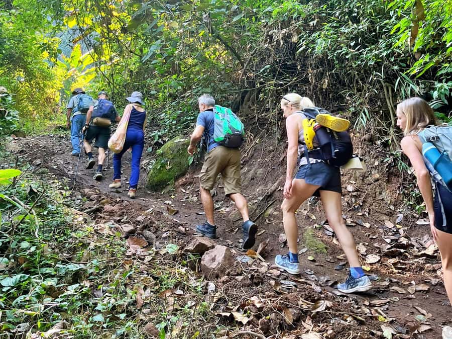 From Chiang Mai: High Mountain Day Trek - The hike: 4.5 km of undulating ground, plus optional extra