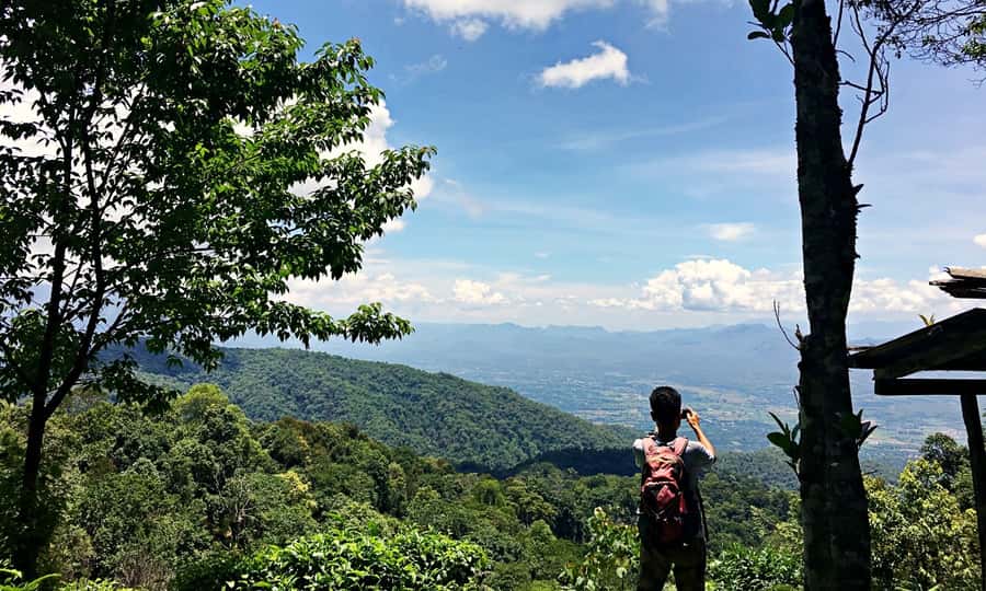 From Chiang Mai: High Mountain Day Trek - Lunch break in the jungle: Thai food, fruit, and a needed pause