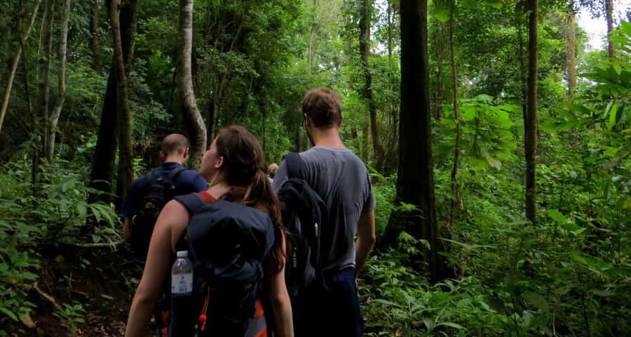 From Chiang Mai: High Mountain Day Trek - Village stroll after lunch: the everyday side of hill-tribe life