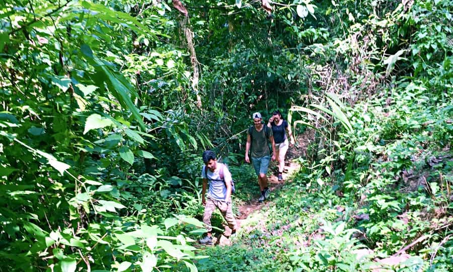 From Chiang Mai: High Mountain Day Trek - What to bring: stop bugs and dust from ruining your photos