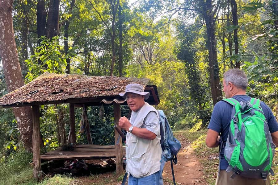 From Chiang Mai: High Mountain Day Trek - Your guide and the hill-tribe connection (Sap and Ban make a difference)