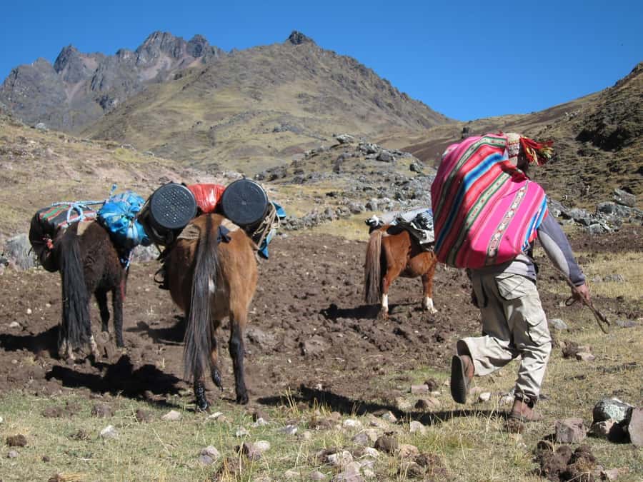 From Cusco: 7 Lakes Ausangate Trek with Breakfast and Lunch - Photo stops and alpine details: what you’ll notice on the way