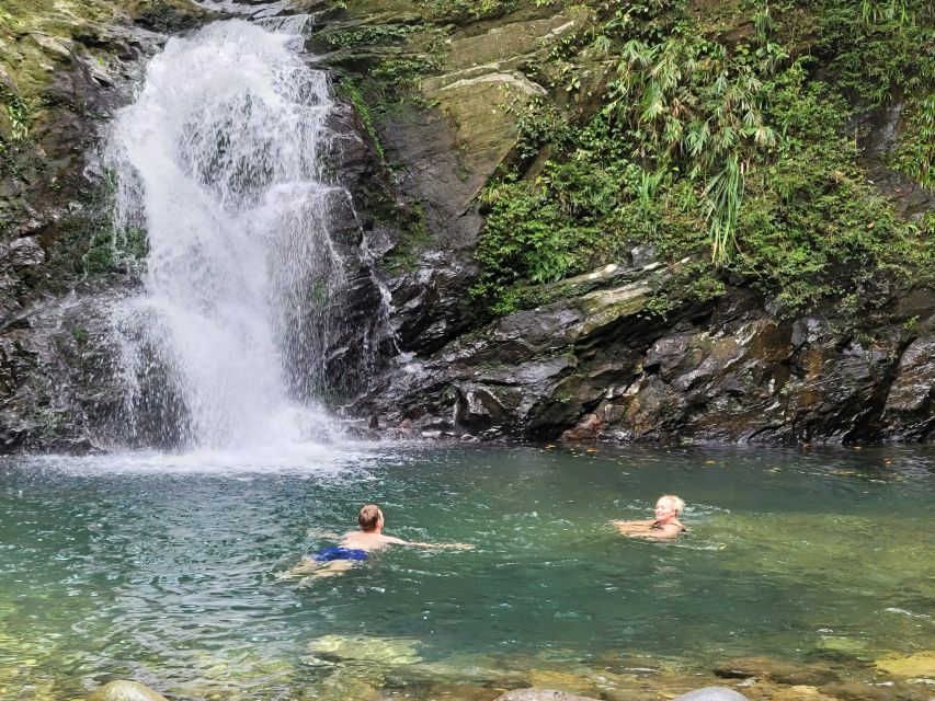 From Da Nang or Hoi An: Bach Ma National Park Trek & Lunch - Who should book this Bach Ma trek?