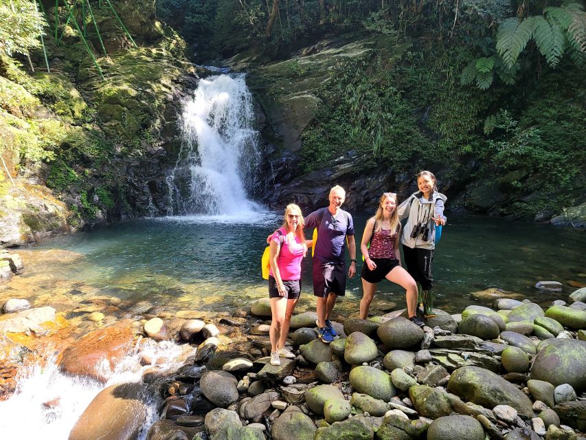 From Da Nang or Hoi An: Bach Ma National Park Trek & Lunch - Picnic lunch in the park: fuel with the right timing
