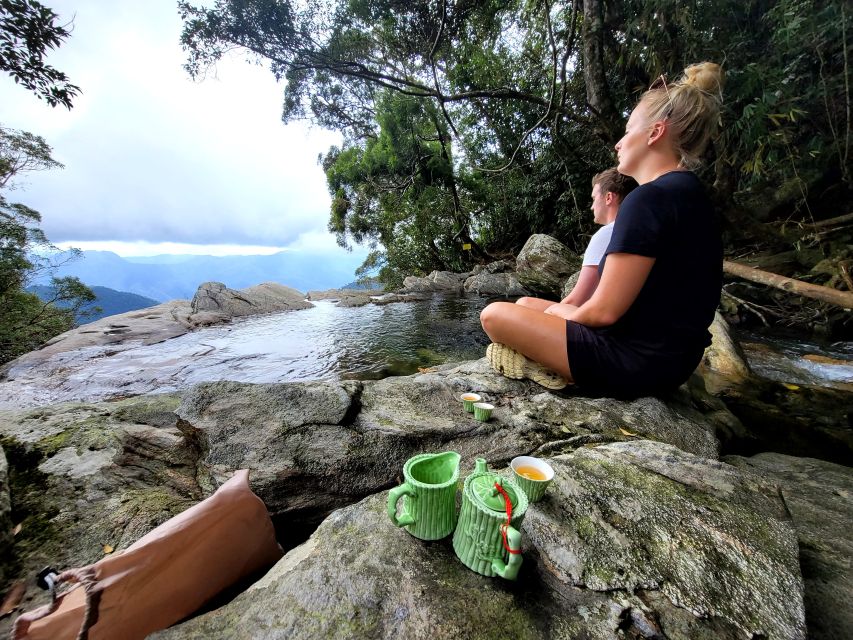 From Da Nang or Hoi An: Bach Ma National Park Trek & Lunch - Do Quyen Waterfall: 300m of reward, plus wet, steep work