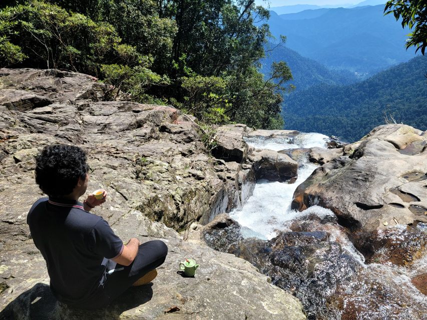 From Da Nang or Hoi An: Bach Ma National Park Trek & Lunch - Difficulty level: who will enjoy it, and who will suffer?