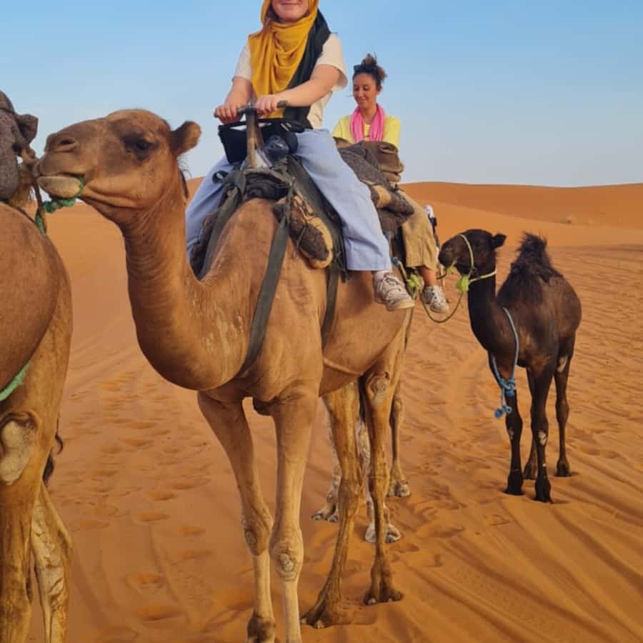 From Fes: 2 Day Round Trip Via Merzouga Desert & Camel Trek - Cedar forest time: Barbary monkeys in the Middle Atlas