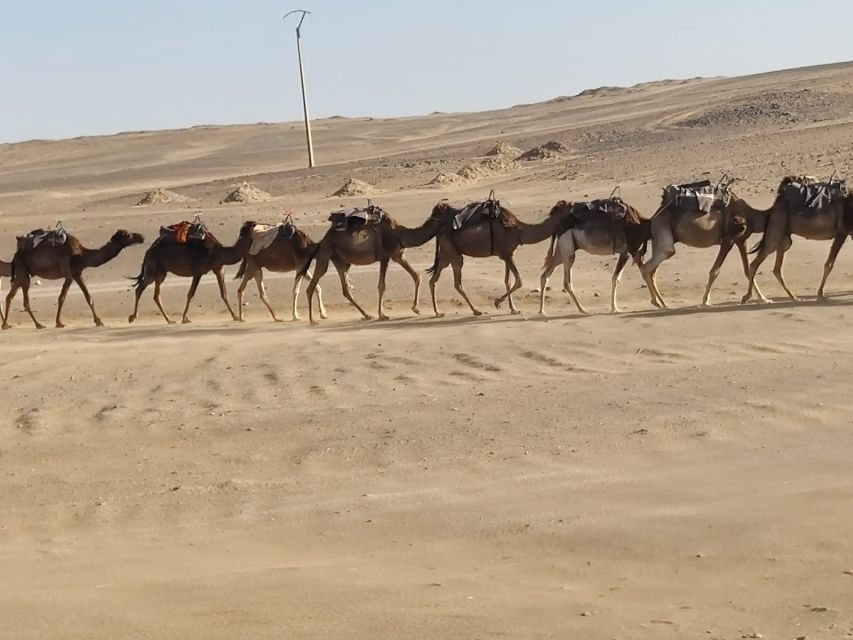 From Fes: 2 Day Round Trip Via Merzouga Desert & Camel Trek - Midelt, Ziz Valley, and Erfoud: seeing desert country before the dunes