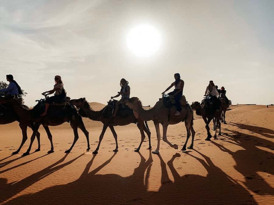 From Fes: 2 Day Trip to Marrakech via the Desert& Camel Trek - Fes to Erg Chebbi: Why This 2-Day Desert Shortcut Works