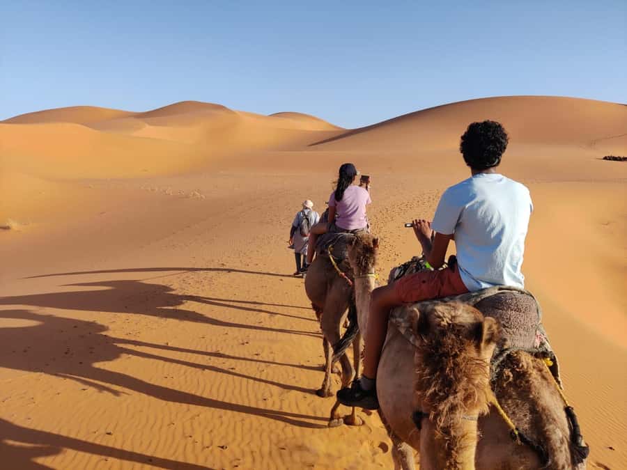 From Fes: 3 Day Magical Desert Camel Trek To Marrakech - Fes to Marrakech by camel and kasbah: what this route is really like