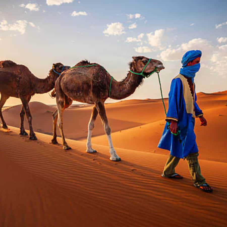 From Fes: 3 Day Magical Desert Camel Trek To Marrakech - Who this 3-day camel trek suits best