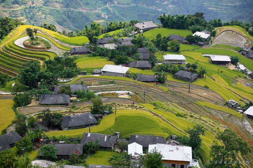 From Ha Giang Trekking Day Trip With Local Guide - Lùng Vai with the Black Dzao: daily life, family work, and lunch