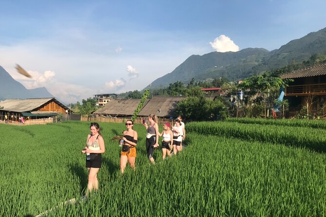 From Hà Nội : Sapa trek with local guide 2 days 1 night - What This 2 Days, 1 Night Sapa Trek Really Is