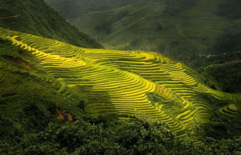 From Hanoi: 1-day Sapa Trekking Tour With Overnight Bus - Key things I think you’ll care about