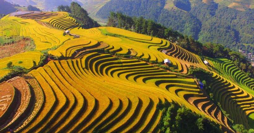 From Hanoi: 1-day Sapa Trekking Tour With Overnight Bus - Ta Van and lunch at a local homestay: the best break in the middle of the hike