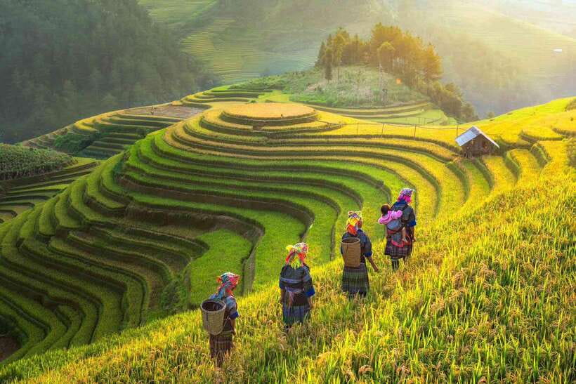 From Hanoi: 1-day Sapa Trekking Tour With Overnight Bus - The return to Sapa Town and the long ride back to Hanoi