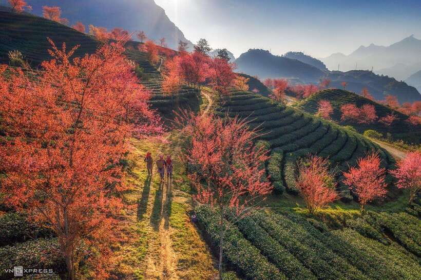 From Hanoi: 1-day Sapa Trekking Tour With Overnight Bus - Price and value: is $52 worth it?