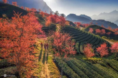 From Hanoi: 2-Day Luxury Sapa Trekking Tour with Homestay - Day 1: Y Linh Ho to Lao Chai, Then Ta Van Homestay Life