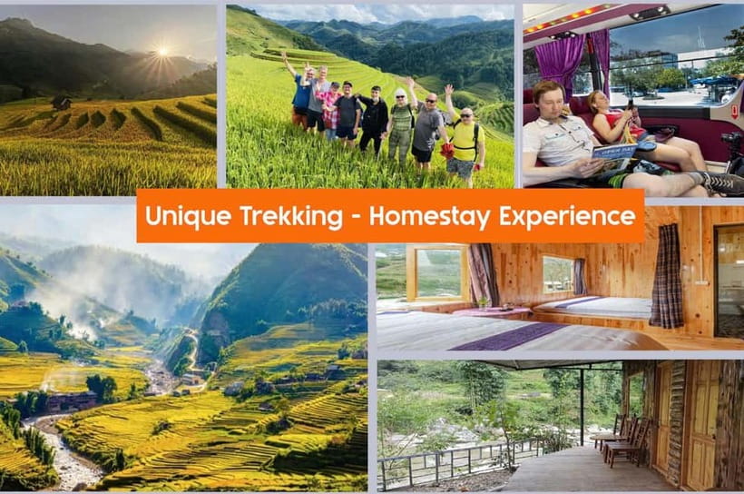 From Hanoi: 2-Day Sa Pa Ethnic Homestay Tour with Trekking - Day 2: bamboo forest walking, Giang Ta Chai Bridge, and heading back to Sa Pa