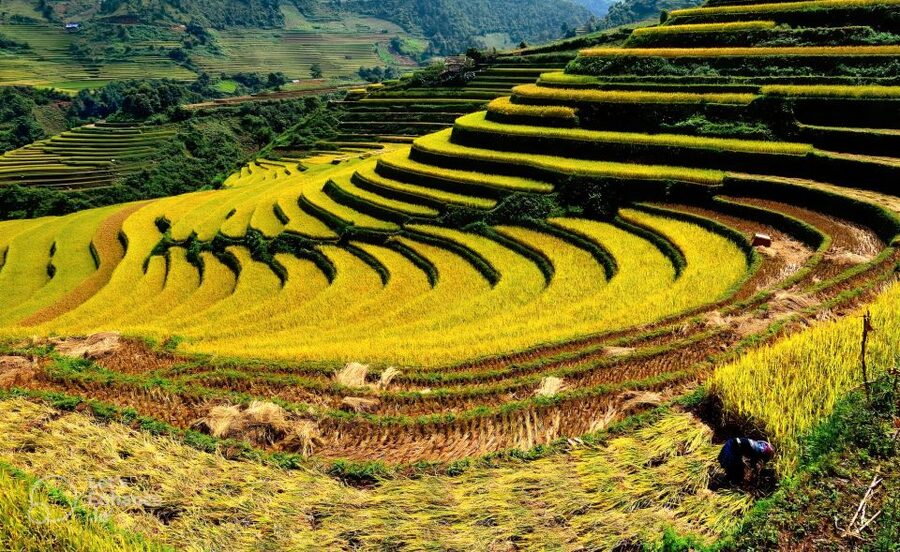 From Hanoi: 2-Day Sapa-Fansipan Peak & Trek & Ha Giang Bus - Lunch back in Sapa and what to do with your free time