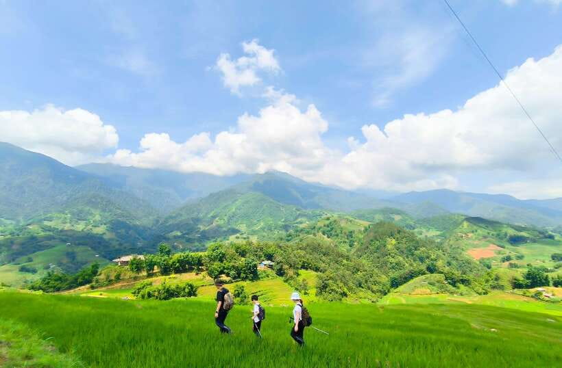 From Hanoi: 2-Day Sapa Trek Tour - Luxury Limousine Transfer - Meals on the Road: Local Food, Menu Choices, and Vegan Options