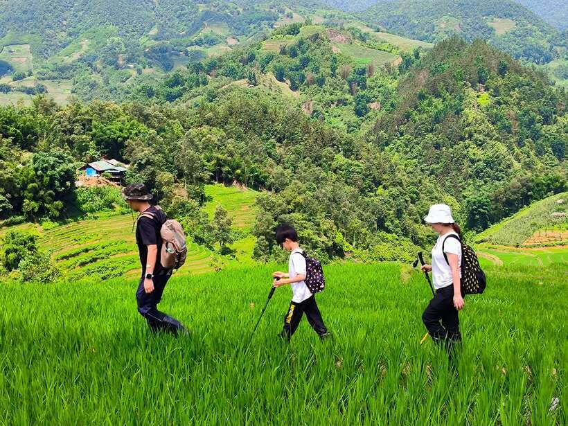 From Hanoi: 2-Day Sapa Trek Tour - Luxury Limousine Transfer - Who Should Book This (and Who Should Skip It)