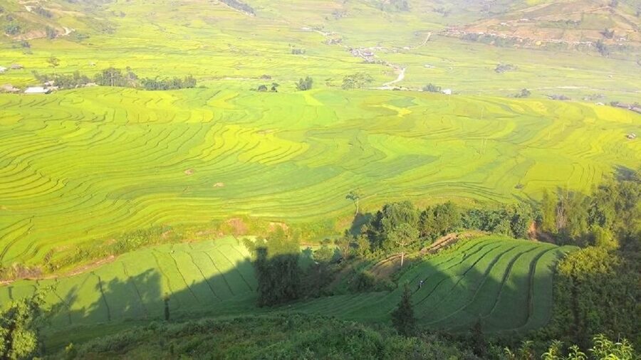 From Hanoi: 2 Day Sapa Trekking To Village & Bungalow, Meals - Sapa in Two Days for $87: what you’re really buying