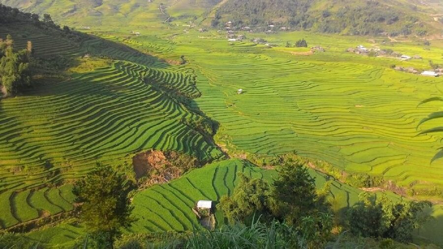 From Hanoi: 2 Day Sapa Trekking To Village & Bungalow, Meals - Day 1: Y Linh Ho to Lao Chai to Ta Van homestay