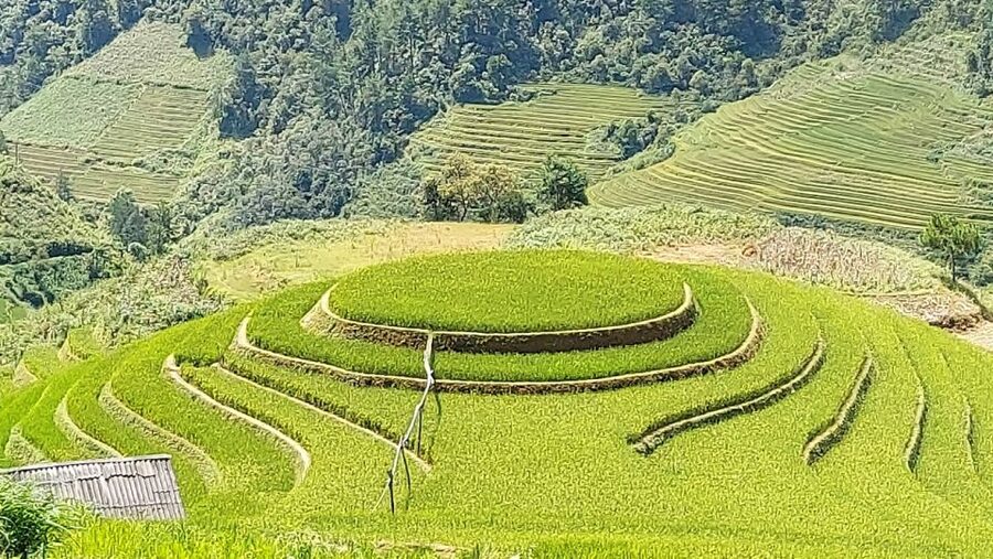 From Hanoi: 2 Day Sapa Trekking To Village & Bungalow, Meals - Day 1 practicality: clothing, shoes, and the reality of terrace paths