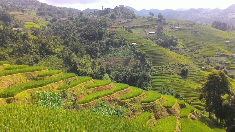 From Hanoi: 2 Day Sapa Trekking To Village & Bungalow, Meals - Day 2: Ta Van to Giang Ta Chai village, through bamboo and viewpoints