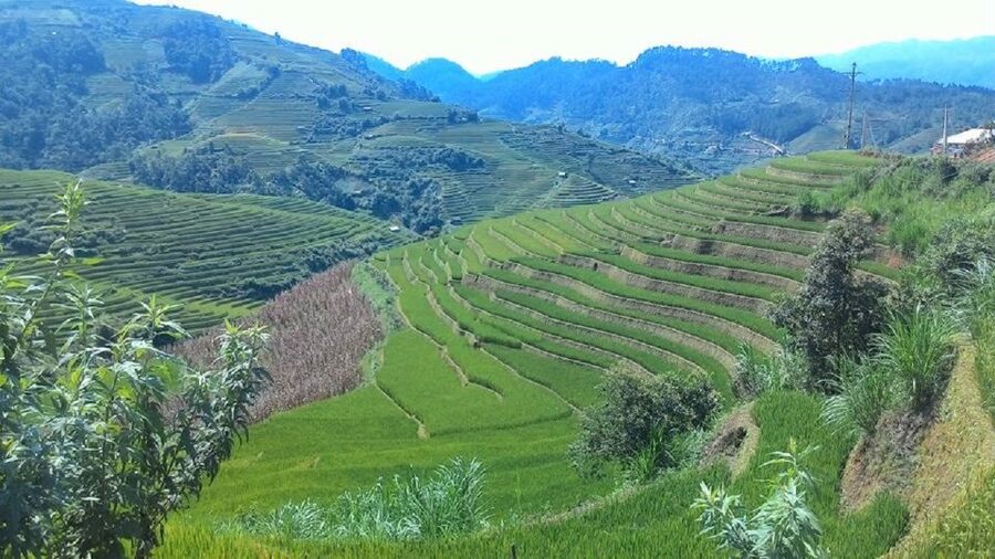 From Hanoi: 2 Day Sapa Trekking To Village & Bungalow, Meals - What to watch for: shopping pressure and unclear transfer expectations