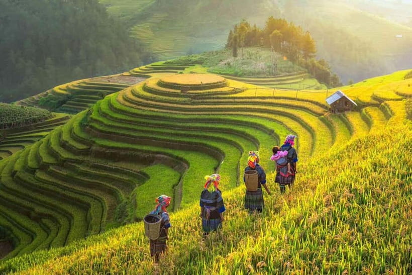 From Hanoi: 2-Day Sapa Trekking Tour with Homestay - Day 1: Y Linh Ho, Lao Chai, and why the Muong Hoa Valley crossing matters