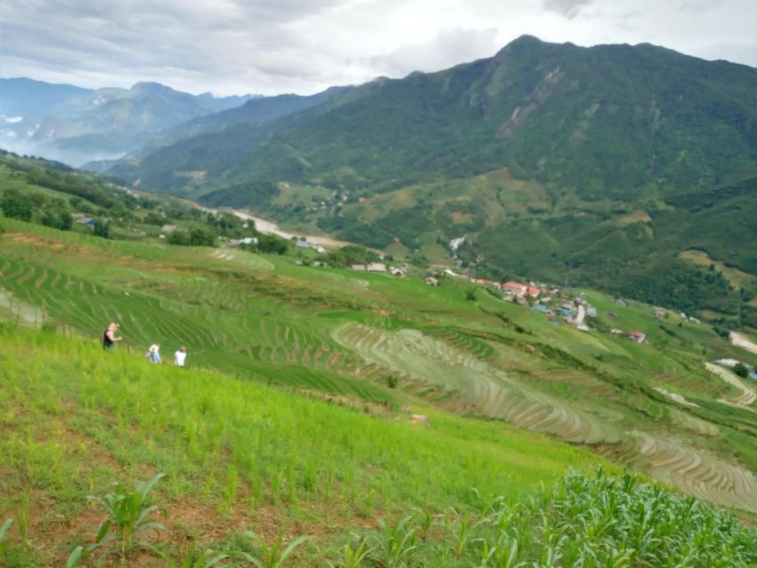 From Hanoi: 2-Day Sapa Trekking Trip with Homestay & Meals - Day 2: bamboo forest hike or village-field time, then back to Sapa town