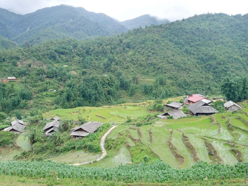 From Hanoi: 2-Day Sapa Trekking Trip with Homestay & Meals - Who should book this trek from Hanoi (and who should skip)