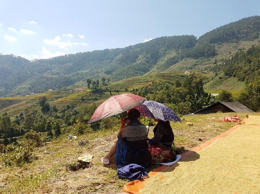 From Hanoi: 2-Day Trekking To Villages In Sapa with Homestay - Should you book this 2-day Sapa trekking and homestay?
