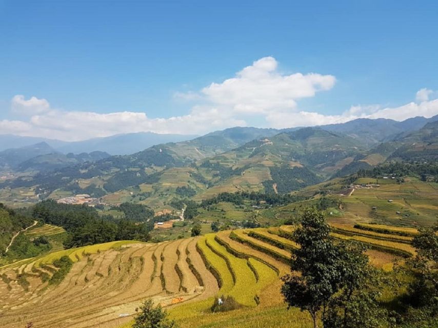 From Hanoi: 2-Day Trekking To Villages In Sapa with Homestay - Walking reality check: this needs stamina, not just good intentions